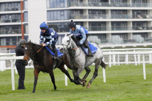 78F8692 Resplendent Grey