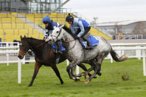 78F8696 Resplendent Grey