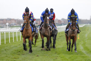 78F8722 Paul Nicholls string