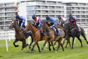 78F8746 Paul Nicholls string