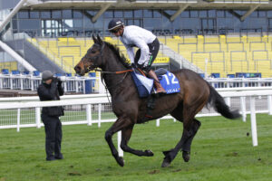 78F8842 Constitution Hill