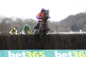 78F9466 Girls Best Friend