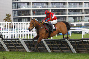 78F9924 Bitsnbuckles