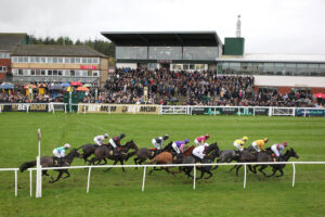 BK1A6510 Exeter Stands