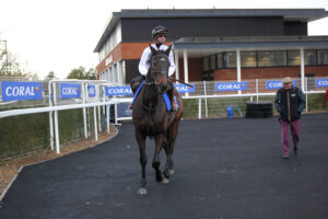 BK1A6543 Constitution Hill