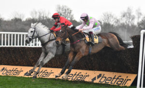 DSC 0248 Grey Dawning