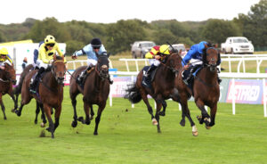 FU0E5324 Hopewell Rock [left]
