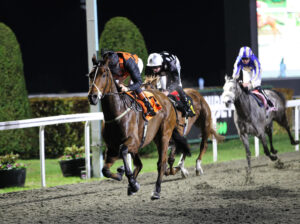 FU0E6980 Another Run