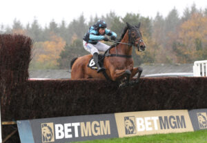 FU0E7079 Thistle Ask