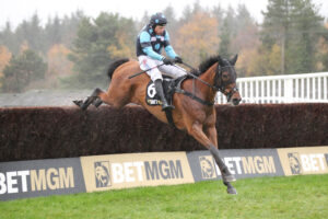 FU0E7081 Thistle Ask