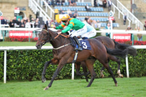 FU0E7410 I’ll Be Back