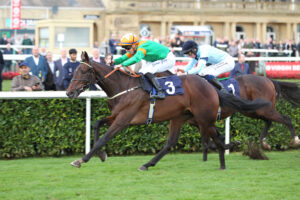 FU0E7414 I’ll Be Back