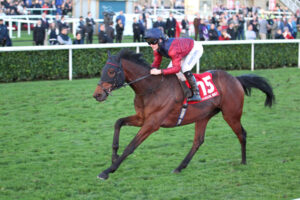 FU0E7755 Castle Cove