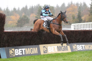 FUOE7080 Thistle Ask