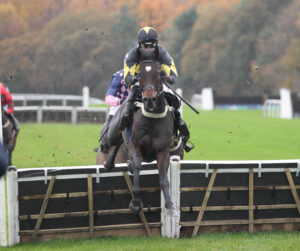 FV1E1573 Lisbane Park