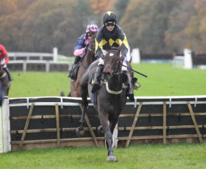 FV1E1574 Lisbane Park