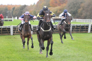 FV1E1593 Lisbane Park