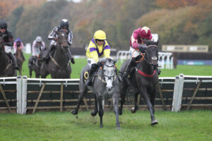 FV1E1634 Apples Moon