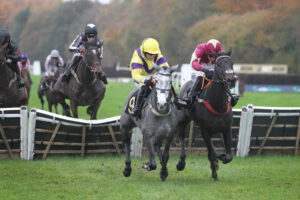 FV1E1635 Apples Moon