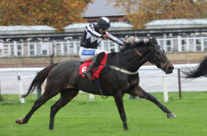 FV1E1776 Kasino Des Mottes