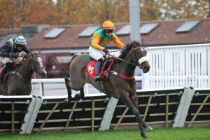 FV1E1852 Turndlightsdownlow