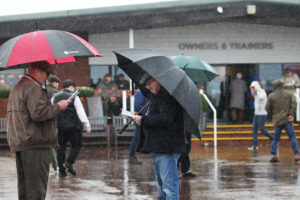 FV1E2367 Studying the form