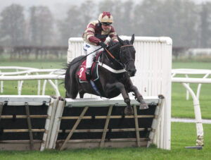 FV1E2394 Milou Du Chenet