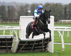 FV1E2463 Shabalko D’Herm