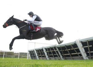 X5B2983 Rockola Vogue