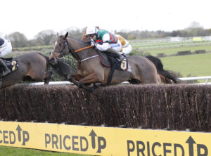 20J4402 Westerninthepark