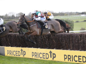 20J4403 Westerninthepark