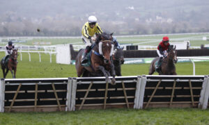 20J5588 Lavender Hill Mob