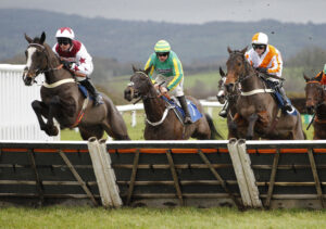 20J7667 Betty’s Daisy