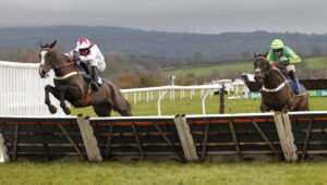 20J7680 Betty’s Daisy