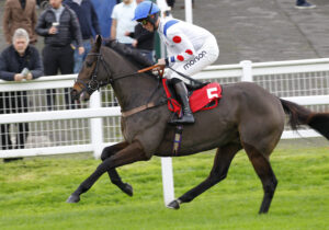 78F6968 Mon Champion