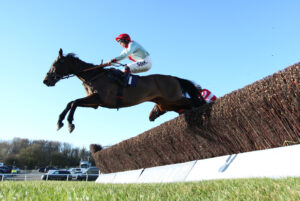 BK1A8265 Jour D’Evasion