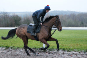 FU0E0001 The Jukebox Man