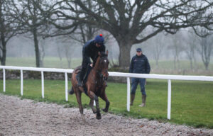 FU0E0028 The Jukebox Man