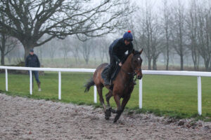 FU0E0032 The Jukebox Man