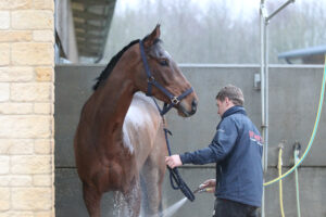 FU0E0051 The Jukebox Man