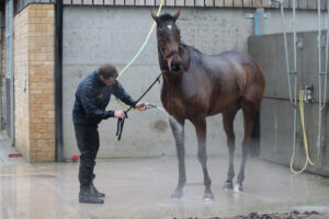 FU0E0059 The Jukebox Man