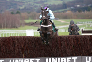 FU0E0185 Califet En Vol