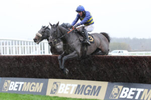 FU0E7048 Tiny Tetley