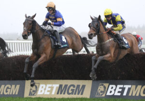 FU0E7182 Gyenyame [right]