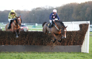 FU0E9276 Hitthehayson