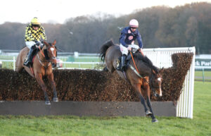 FU0E9277 Hitthehayson