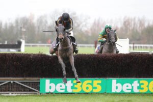 FU0E9736 Zacony Rebel