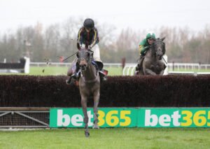 FU0E9737 Zacony Rebel