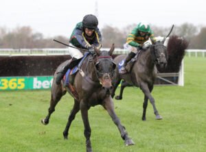 FU0E9749 Zacony Rebel