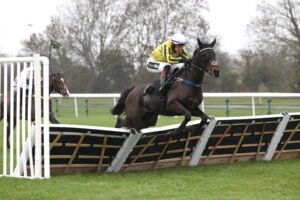 FU0E9790 Ambiente Friendly